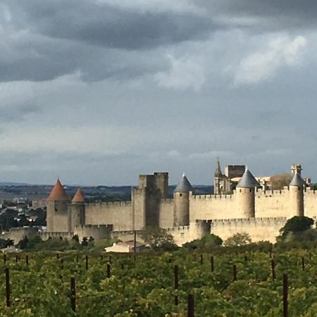Apartament Les Orchidees Carcassonne Zewnętrze zdjęcie