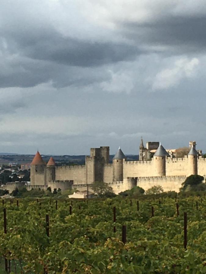 Apartament Les Orchidees Carcassonne Zewnętrze zdjęcie