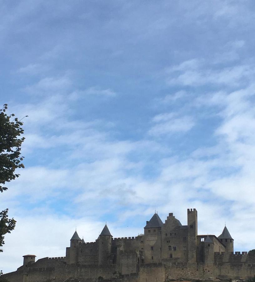 Apartament Les Orchidees Carcassonne Zewnętrze zdjęcie